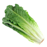 Lettuce