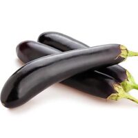 Long Eggplant