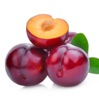 Plums Red khokh