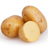 Potato