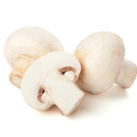 White Mushroom